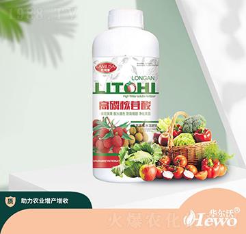 ���׺�����-�A����