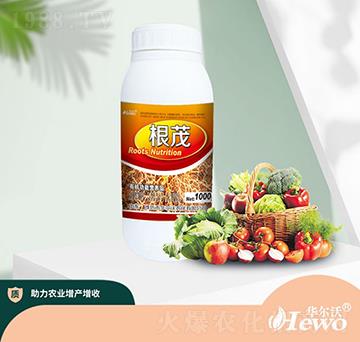 ��ï��ƿ��-�A����