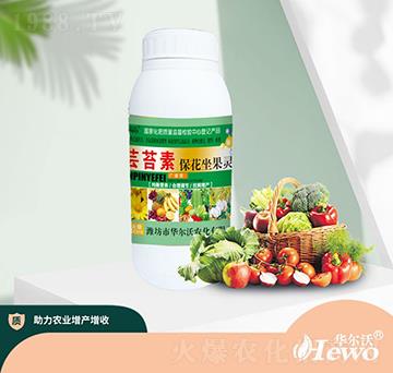 �|̦�ر��������`-�A����