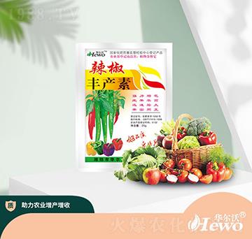 �����S�a(ch��n)��-�A����