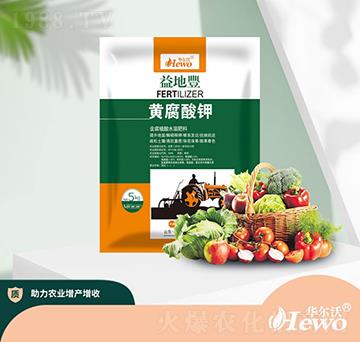 �S�����-�A����