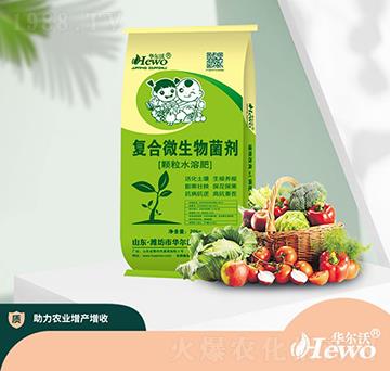 ��(f��)��΢�������-�A����