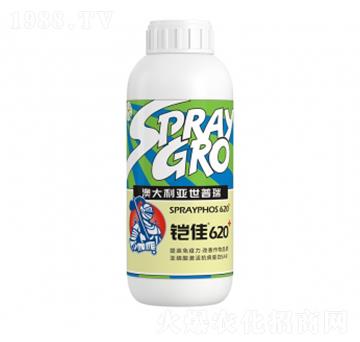 鎧佳620-瑞年特肥