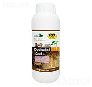 �������焩-�|���S