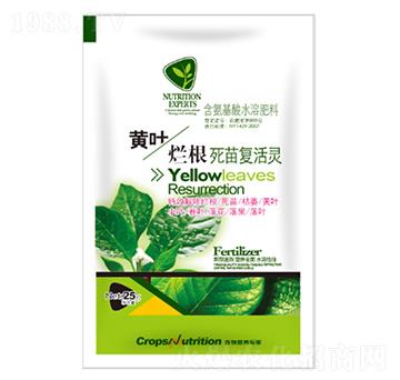 �S�~���������(f��)���`-�|���S