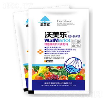 ������-�|���S