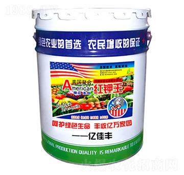 �t���-�|���S