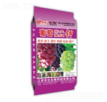 �������߼t�-�S��