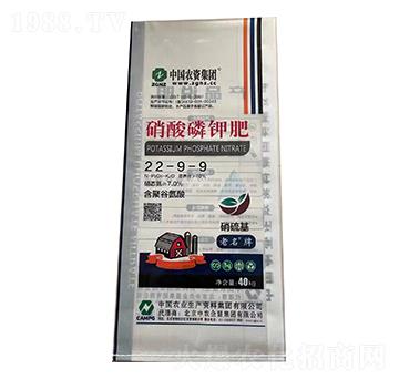 ������⛷�22-9-9-���r(n��ng)�r(n��ng)�Y