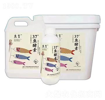 37°魚酵素-魚皇-盛世嘉海