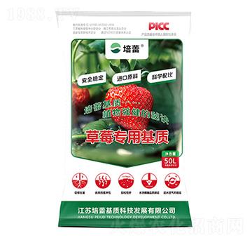 草莓有機栽培基質(zhì)-培蕾
