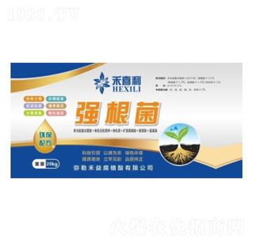 ��(qi��ng)����-��ϲ��-���港ֲ��