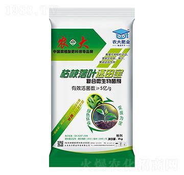 �ЙC���ϸ��섩-��֦���~߀�-�r�����B(t��i)