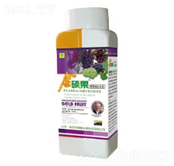 ���ь��ý�T���~���-��������