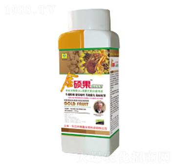 ��������ý�T���~���-��������