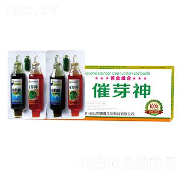 �S��M��-��ѿ��-��������