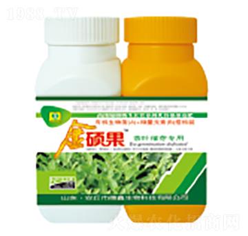 ���~��ѿ�����~���-��T��-��������