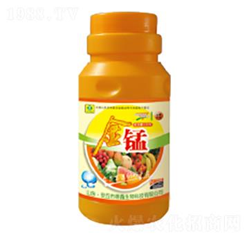 ���i�~���-��������