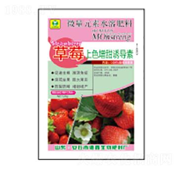 ΢��Ԫ��ˮ�ܷ���-��ݮ��ɫ�����T����-��������