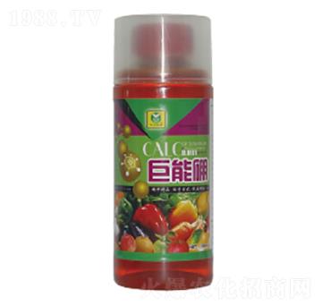 �������~���-��������