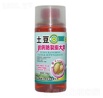 �����������������-��������