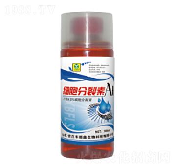 ��(x��)��������-��������