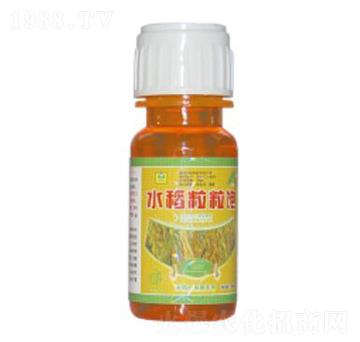 水稻粒粒飽-德鑫生物