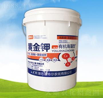 �ЙC�������S���-����