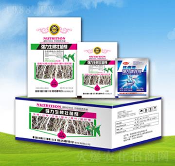 �����������焩-���ؠ�