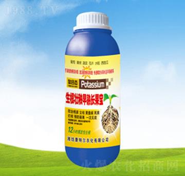 �������������L����-��