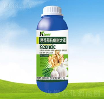 �[���⿹�������-����