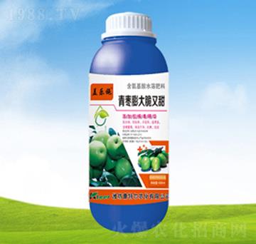 ������������-���ؠ�