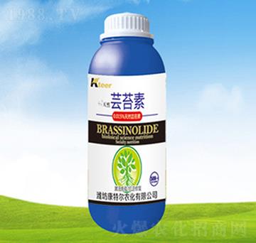 �|̦��-���ؠ��r(n��ng)��