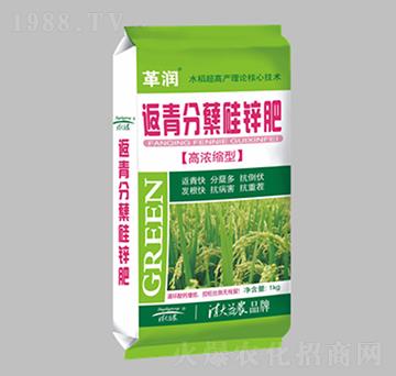 高濃縮型返青分蘗硅鋅肥-革潤(rùn)-清大益農(nóng)
