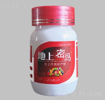 ���Ϲ�����������a(ch��n)-�����ܴa-������r(n��ng)