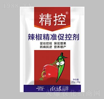 �������ʴٿ؄�-����-������r(n��ng)