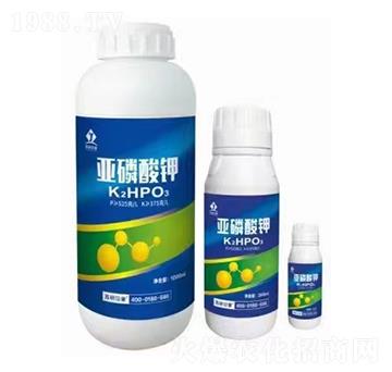 �������-�K��ӡ��