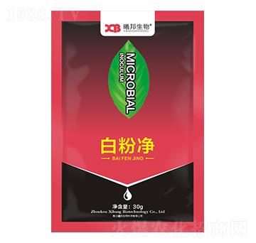 白粉凈微生物菌劑-曦邦生物