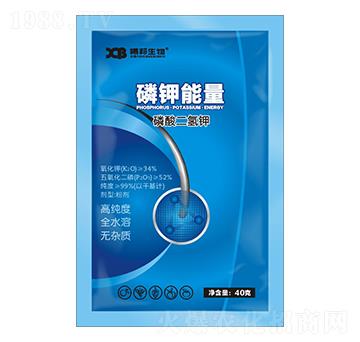 40����������-�������-�ذ�����