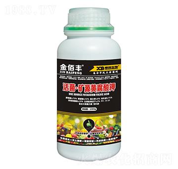 ������VԴ�S�����-����S-�ذ�����