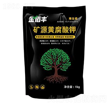 �VԴ�S�����-����S��������-�ذ�����