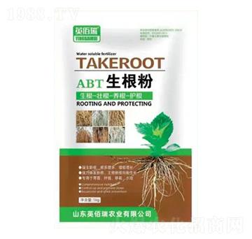 ������-Ӣ����-�sҫ�r�I(y��)