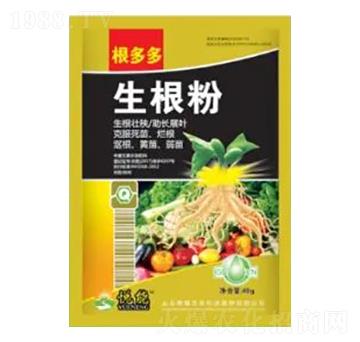 ������-�����-�sҫ�r�I(y��)