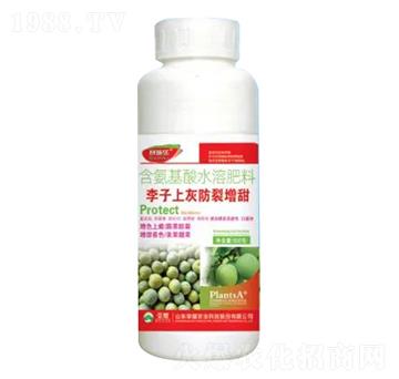 500g含氨基酸水溶肥料-李子上灰防裂增甜-榮耀農(nóng)業(yè)