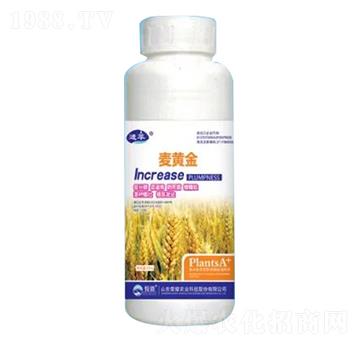 500g麥黃金-榮耀農(nóng)業(yè)
