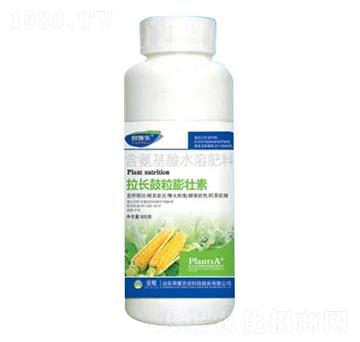 500g含氨基酸水溶肥料-拉長鼓粒膨壯素-榮耀農(nóng)業(yè)