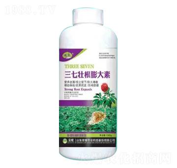 1000g三七壯根膨大素-榮耀農(nóng)業(yè)