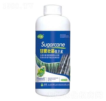 1000g甘蔗壯苗優(yōu)豐素-榮耀農(nóng)業(yè)