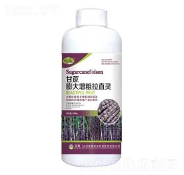 1000g甘蔗膨大增粗拉直靈-榮耀農(nóng)業(yè)