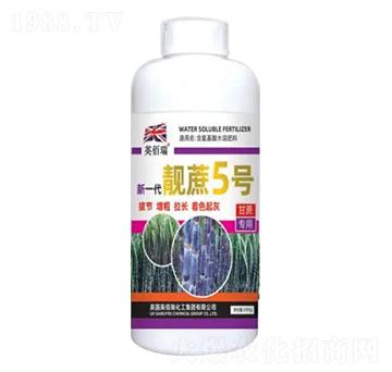 1000g新一代靚蔗5號-榮耀農(nóng)業(yè)